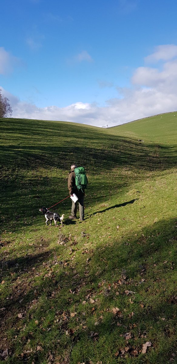 keltayl's tweet photo. Lovely walk around Barnard Castle today with @alfiebagshaw1 🐾😎 #WalkWeekend #Vanlife https://t.co/gnTHWCg8PT
