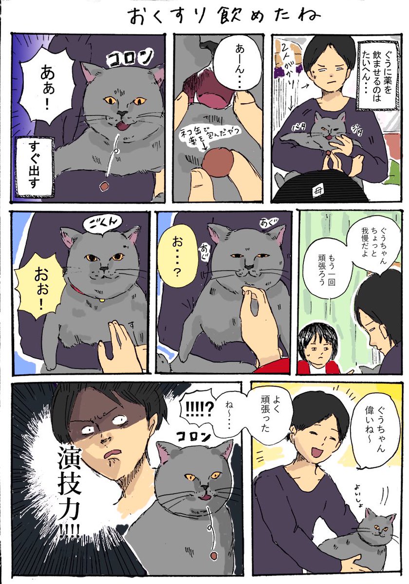 【 おくすりのめたね 】

本当にあぐあぐやるんですよ。。。

#猫 #猫漫画 #漫画 #ねこ
#ぐうとぼんぼん 