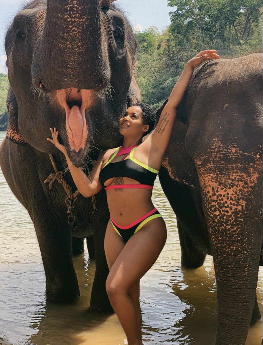 devanaturner's tweet photo. Pictures just aren’t enough. Thailand ❤️ https://t.co/hRvNSEJkbv