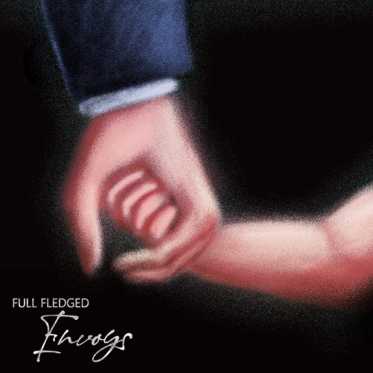 FULL FLEDGED // THE MALLARD (2019)