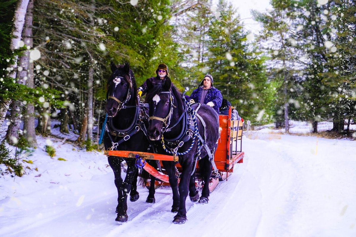 There is lots to see and do <a href="/parc_omega/">Parc Oméga</a> especially this month for #MarchBreak Details about the special events happening posted on createwithmom.com/2019/02/parcom… 
#MarchBreak #familytravel <a href="/TourOutaouais/">Tourisme Outaouais</a> #OutaouaisFun <a href="/Ottawa_Tourism/">Ottawa Tourism</a> #MyOttawa #DiscoverON <a href="/TourismQuebec/">Bonjour Québec</a> #quebecoriginal