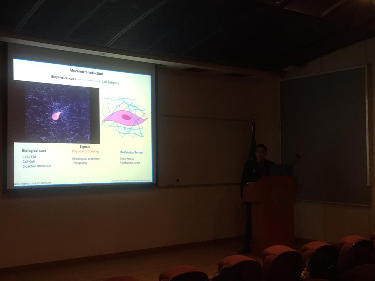 SimposioBiofab's tweet image. El Dr. Edgar Krotsch con una gran plática sobre la Matriz Extracelular y Dr. Mario Chopin en Biotintas. Dos temas FUNDAMENTALES en la Bioimpresión. @INR_MX #CENIAQ #Biofabricación2019 #BiofabricacionMexico #RegenerativeMedicine #Bioprinting #3Dprinting