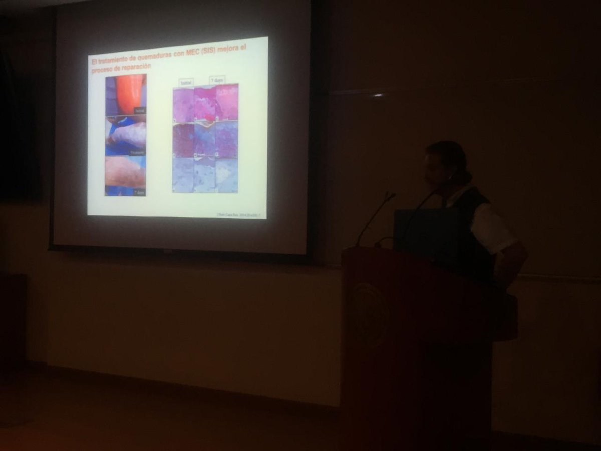 SimposioBiofab's tweet image. El Dr. Edgar Krotsch con una gran plática sobre la Matriz Extracelular y Dr. Mario Chopin en Biotintas. Dos temas FUNDAMENTALES en la Bioimpresión. @INR_MX #CENIAQ #Biofabricación2019 #BiofabricacionMexico #RegenerativeMedicine #Bioprinting #3Dprinting