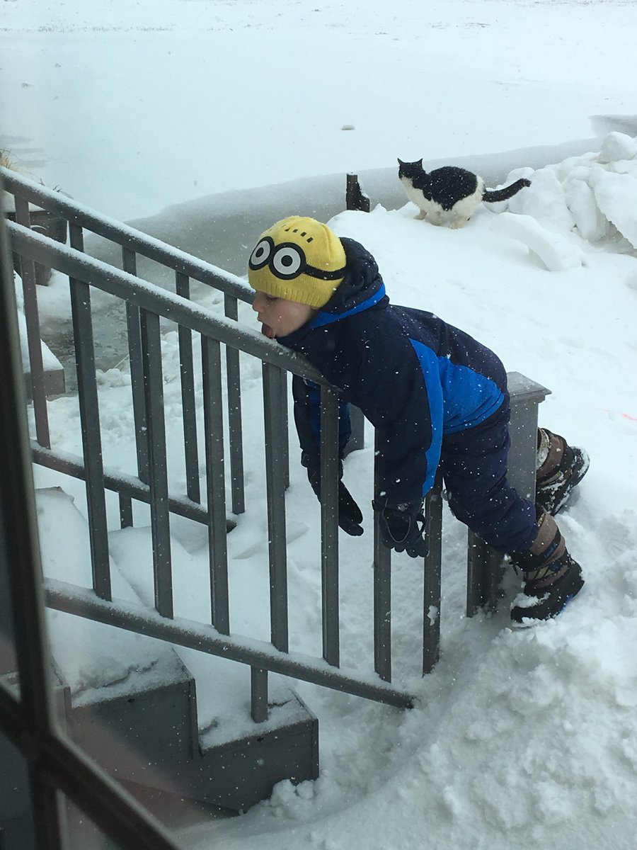 CoryEimers's tweet photo. Good thing I didn’t put metal railings on the deck https://t.co/QHEpktoQfK