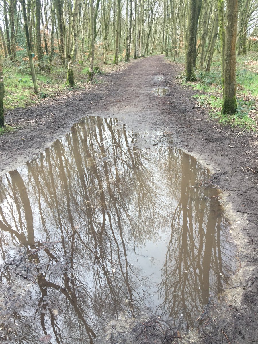 Roddlesworth Roller and Daffodil Doddle course check, marshal point labelling and puddle depth testing completed. It could be a little damp tomorrow ;)