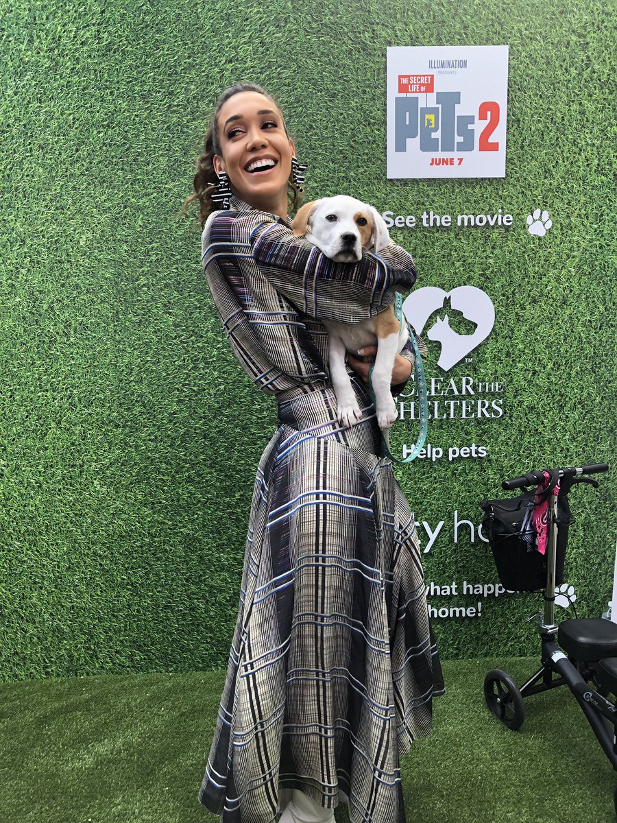 FoundAnimalsOrg's tweet photo. So great to see @SimoneBoyce at the #ComcastNBCU activation at #SXSW with the cutest adoptable pup from @austinpetsalive! Donate now to help #FundTheShelters! https://t.co/EAWJKRHLbT @ClearTheShelter #ClearTheShelters #MFAatSXSW #AdoptDontShop https://t.co/fseJizQGaP