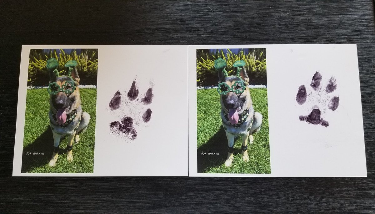 St. Patrick's Day giveaway! 🍀

2 winners will receive a special pawtographed #K9Garm St. Patrick's Day photo!

Rules: 
1. Must be following <a href="/K9Garm/">K9Garm</a> and <a href="/Love4PoliceDogs/">Meredith 💙🐾</a> 

2. Like, comment, &amp; RT!

Winners will be chosen on Wednesday! Good luck! 😊🍀