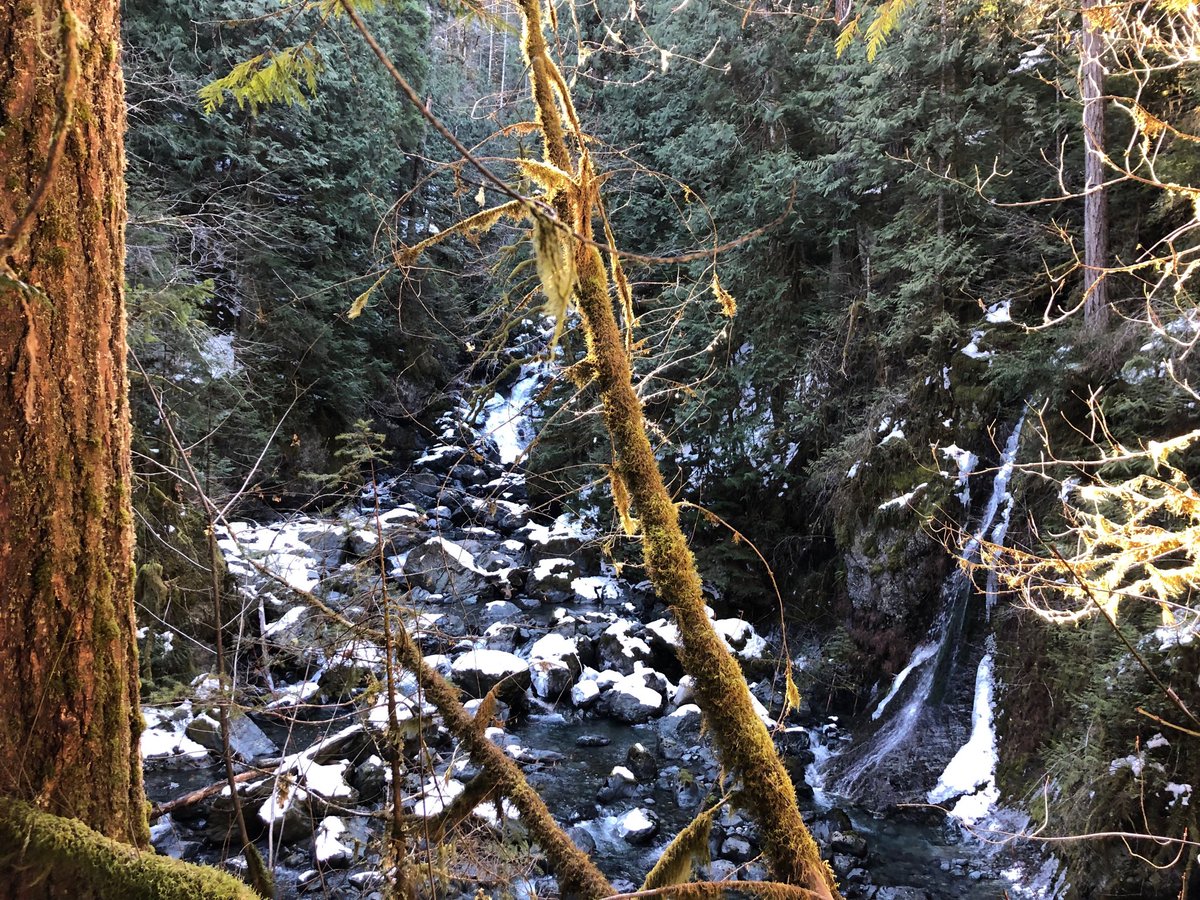 Rosewall Creek Provincial Park. Knees have been sore the last couple of weeks, which has impaired my 🏔 goat skills but still managed the steep up &amp; down at the end to get the best view of the two waterfalls, but I’m afraid the picture doesn’t do it justice. #saturdayhikeseries