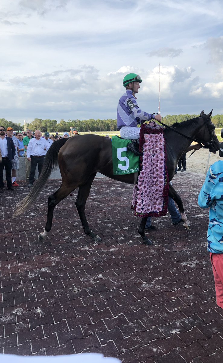TampaBayDownsFL's tweet photo. Concrete Rose and @JulienLeparoux win the 36th Running of the Florida Oaks (gr.III) for trainer George Arnold II and owner @AshbrookFarmKY and @BBNRacingTeam!!! https://t.co/yWCTivPebs