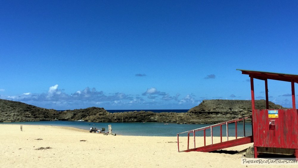 PRDayTrips's tweet photo. Beach Colors #PuertoRico #EstaEsMiIsla #PicOfTheDay #potd #ttot https://t.co/Cg7JMft5mY