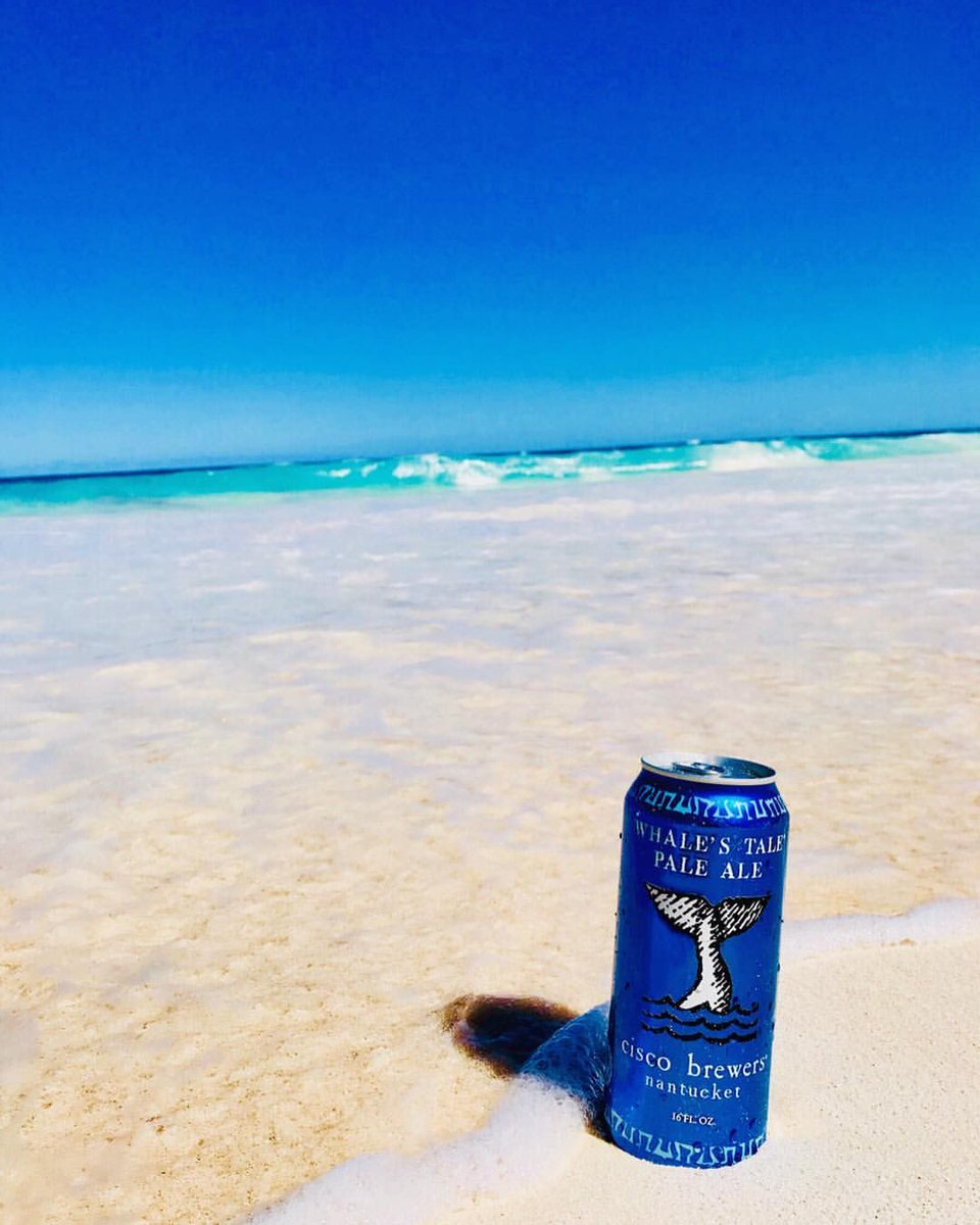 Cisco Brewers tweet media