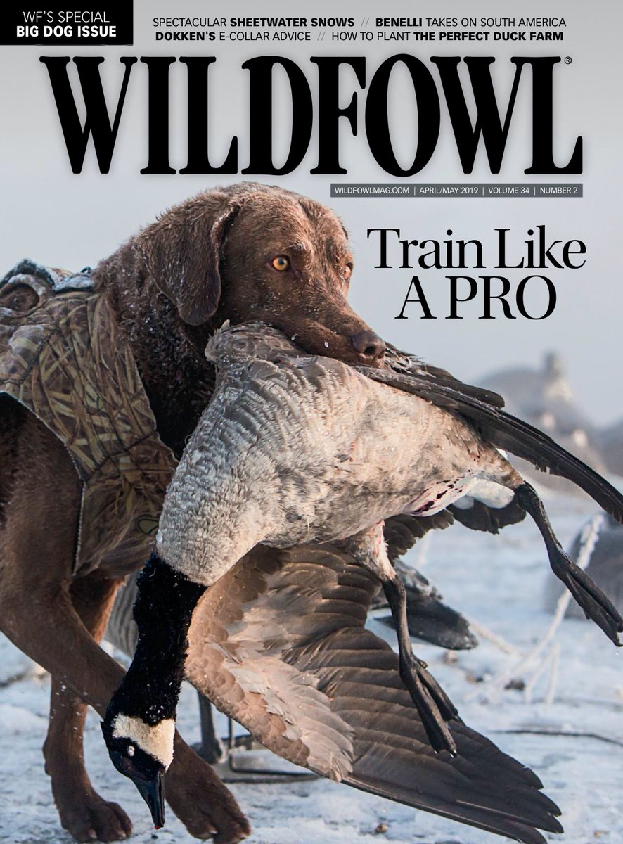 WILDFOWL Magazine tweet media