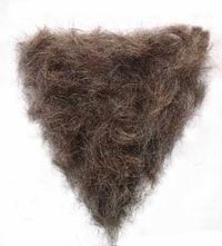 Jay Hulme on X: In the 1450's pubes were still popular, but there was a  lot of pubic lice going around, so the Merkin was invented. The Merkin is a  pubic wig
