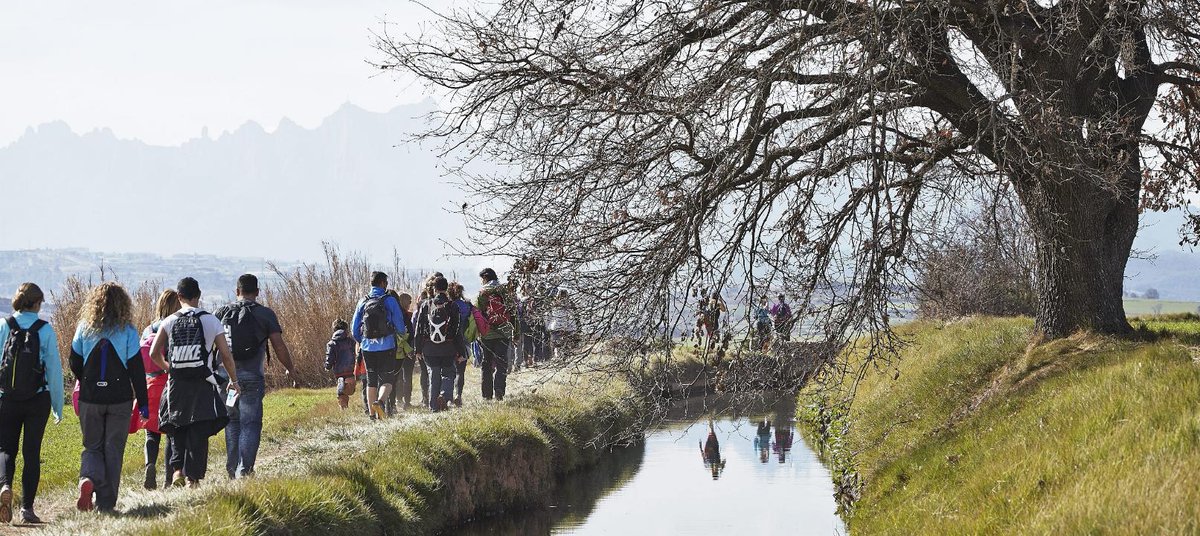 BCNmuchmore's tweet photo. Ressegueix el camí 🚶🏽‍♂️ que es va construir al segle XIV per portar l'aigua 💧 a #Manresa. Fes la Transèquia! #BCNmoltmes

ℹ️ https://t.co/n4roneDyGh
#Bages #Bagesturisme #Balsareny 
 @bagesturisme https://t.co/A14XJbC18t