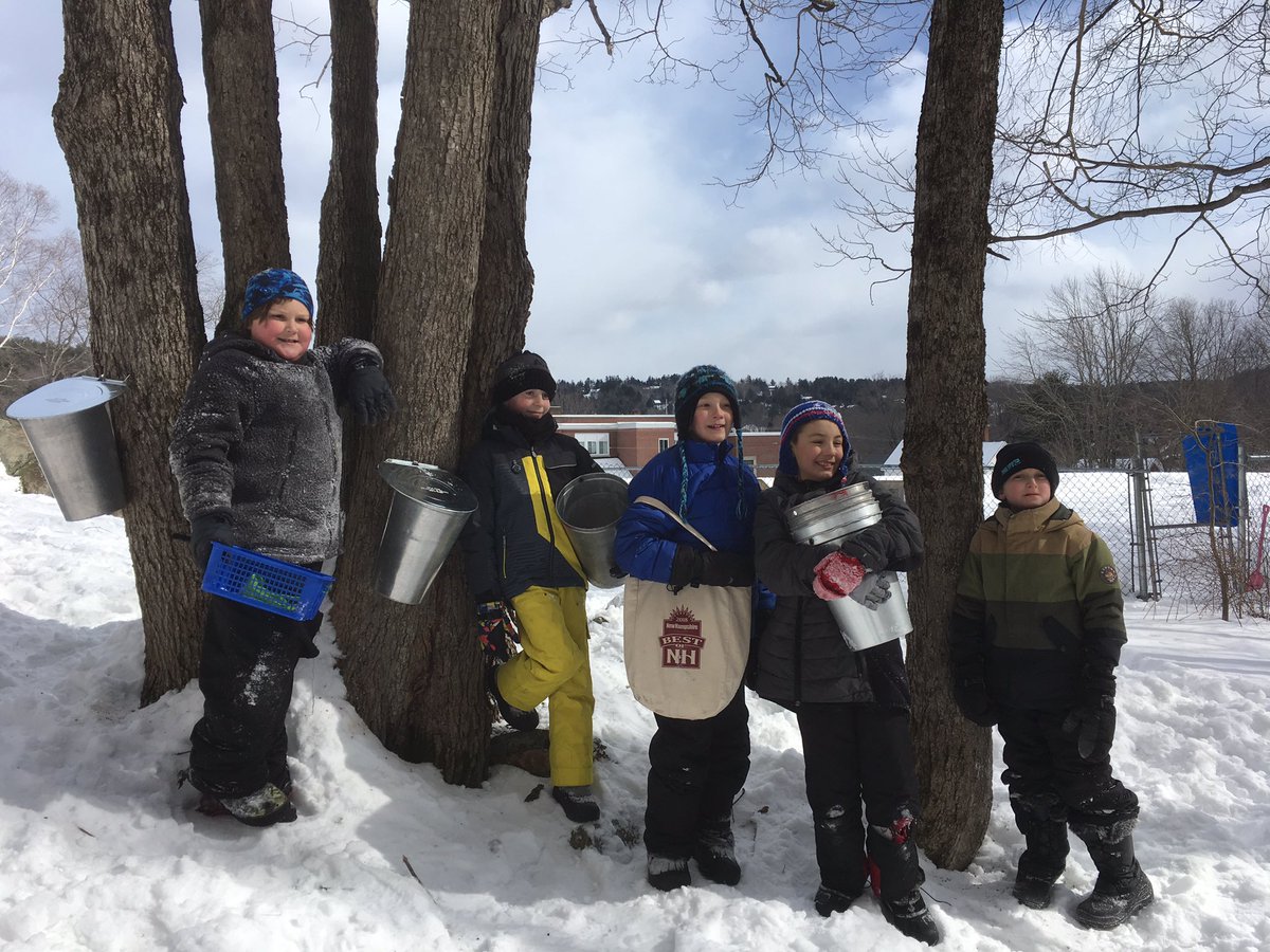 MrsShepherd4's tweet photo. Sunapee third graders are tapping maple trees at school! We love project based learning!#SunapeeCentral https://t.co/WIaP3JnXNF