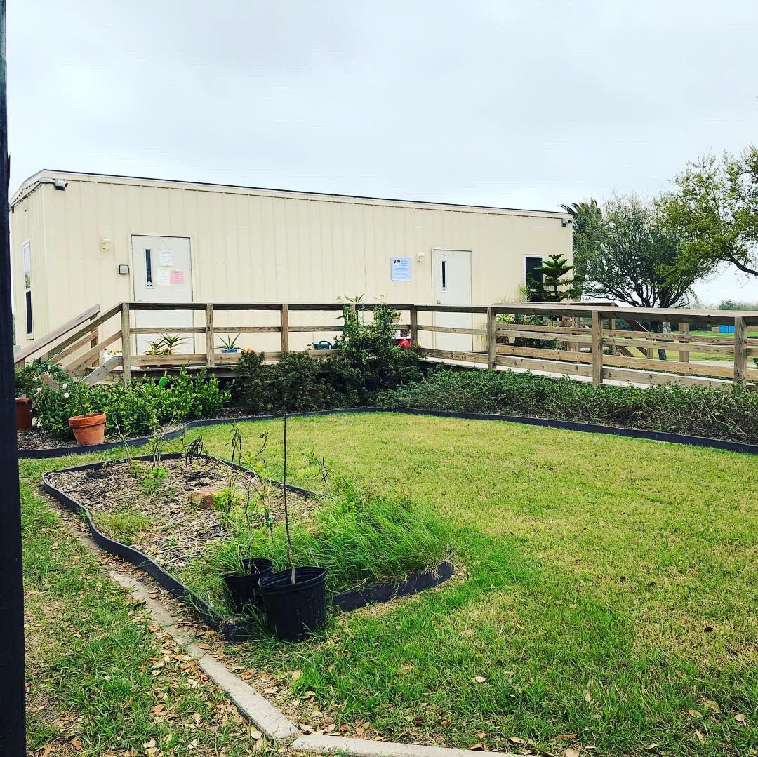 psstcorpus's tweet photo. Current NOID nursery area.  Total:  21 plumerias with no identification https://t.co/jxiPX9Kti1
