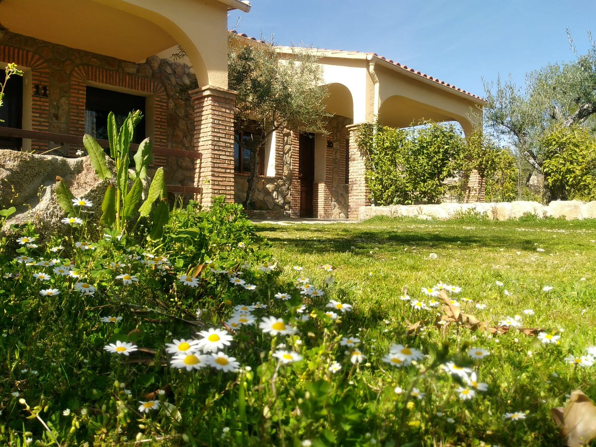 Ya estamos en primavera en @ctlascanadas! Comienza una de las etapas más bonitas del año en el Valle del Ambroz. ¿Te lo quieres perder? No te lo pienses más y acércate a disfrutar del buen tiempo con nosotros, además de visitas culturales y naturaleza.

lascanadas.es