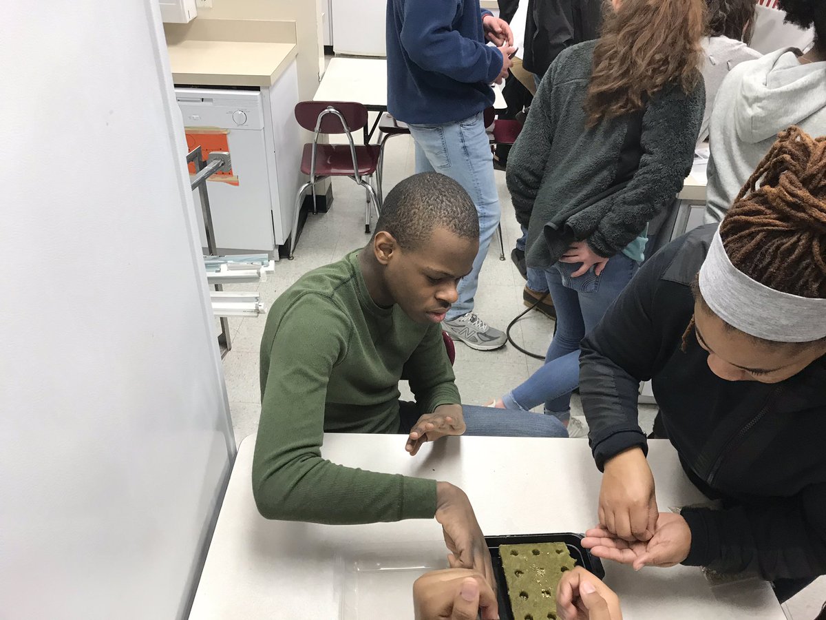 ChristiWenger's tweet photo. Foods 2 planting seeds for our tower garden with Mr. Buck, Ms. Golden, Ms. Bullins and their students! So much fun!!! #TwoTypesofPeople #PantherPride @RyanDMoody1 @kimberleyt7727 https://t.co/tM0uTEC6Yj