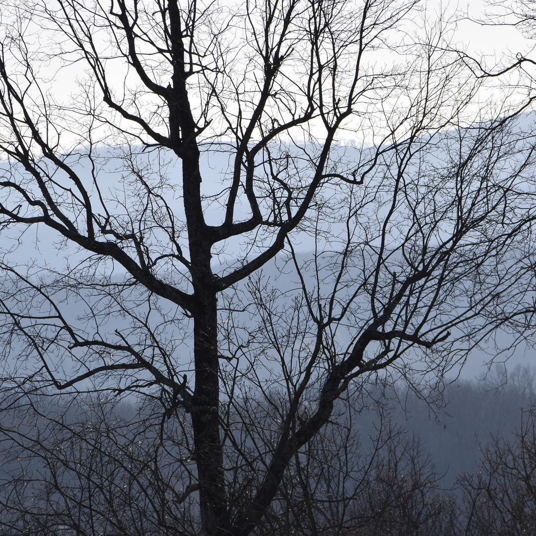 citygirlntn's tweet photo. Rainy, dreary day in East Tennessee but Spring is coming! Happy to be moving the clocks forward tonight and get some extra daylight. #rainraingoaway #moodymountains #springisnear #springforward #springforward2019 #easttennessee #citygirlintransition https://t.co/khYwgK0UzN