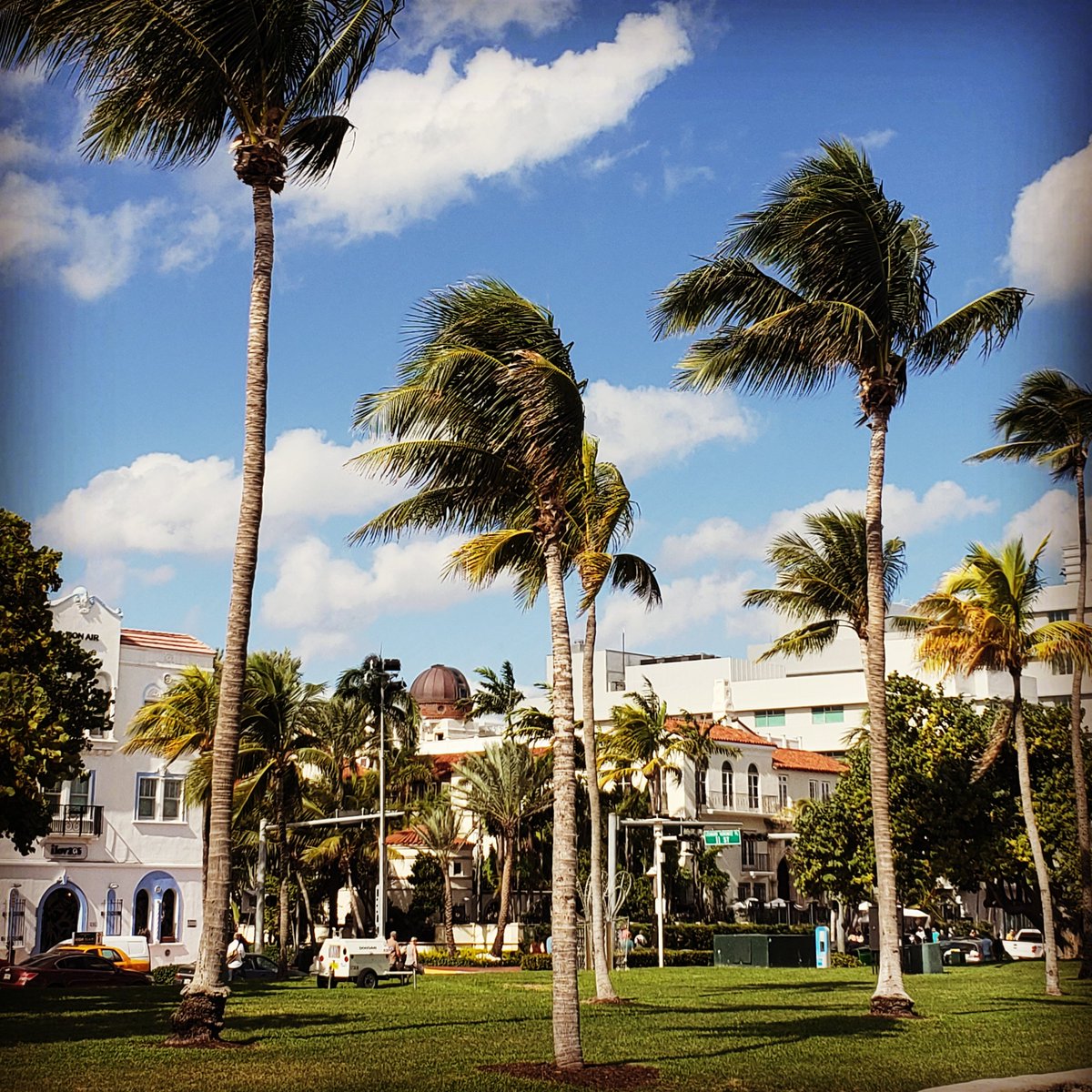 EMiamiBeach's tweet photo. At Lummus Park... #experiencemiamibeach #miamibeach #mbvca #sobe #southbeach #beachjunkie https://t.co/zhgzZkjZ3z https://t.co/wPXNW8DpZB