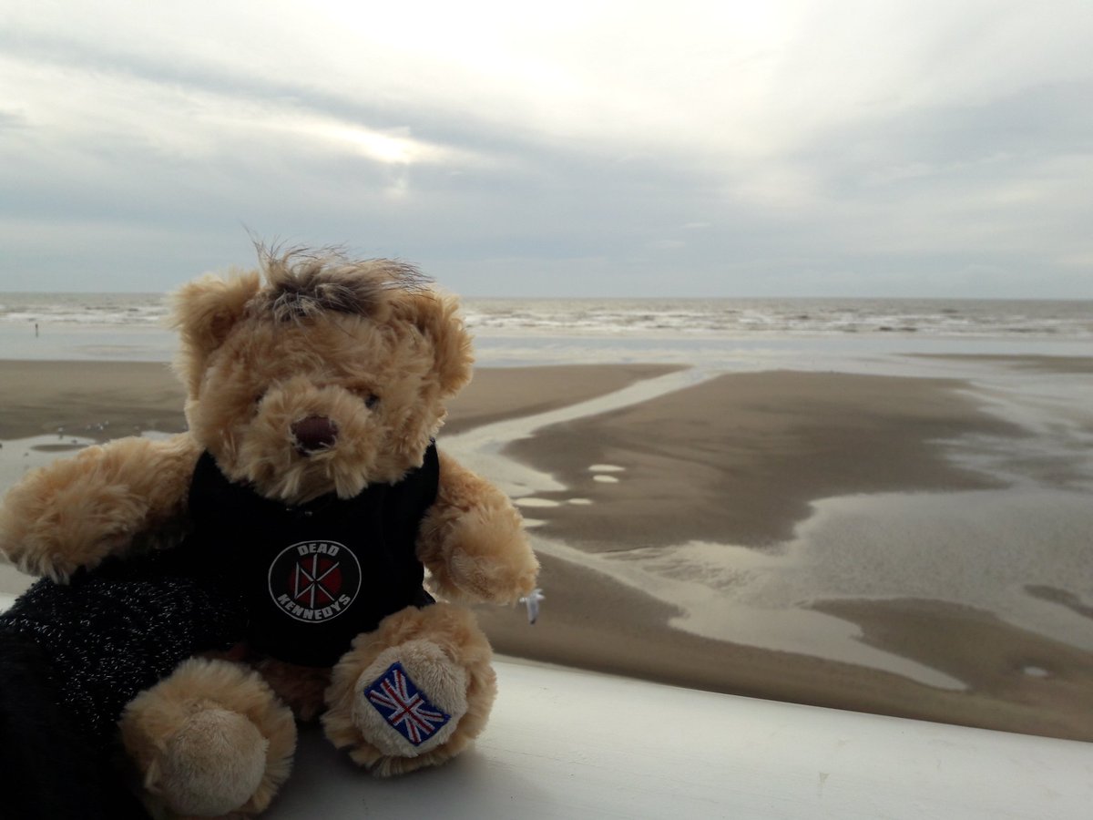 IdiotBears's tweet photo. Nickbear had a lovely time at the seaside between @UKAmericanIdiot shows this afternoon, but he did get a bit windswept...! 🌬️ #TheWind https://t.co/owHLuFoBSk