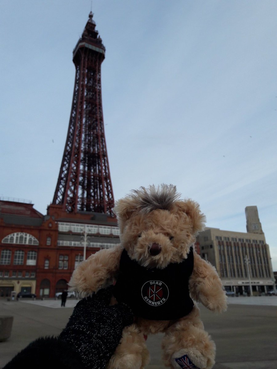 IdiotBears's tweet photo. Nickbear had a lovely time at the seaside between @UKAmericanIdiot shows this afternoon, but he did get a bit windswept...! 🌬️ #TheWind https://t.co/owHLuFoBSk