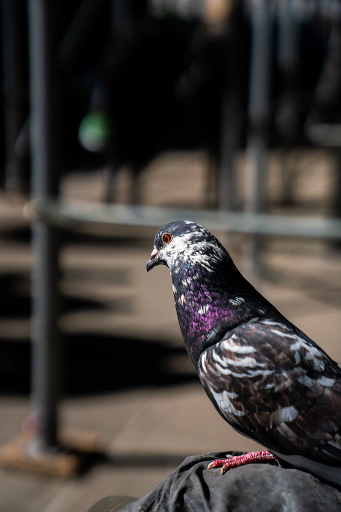 EvanMannPhotography (@evanmannphotog1) on Twitter photo 