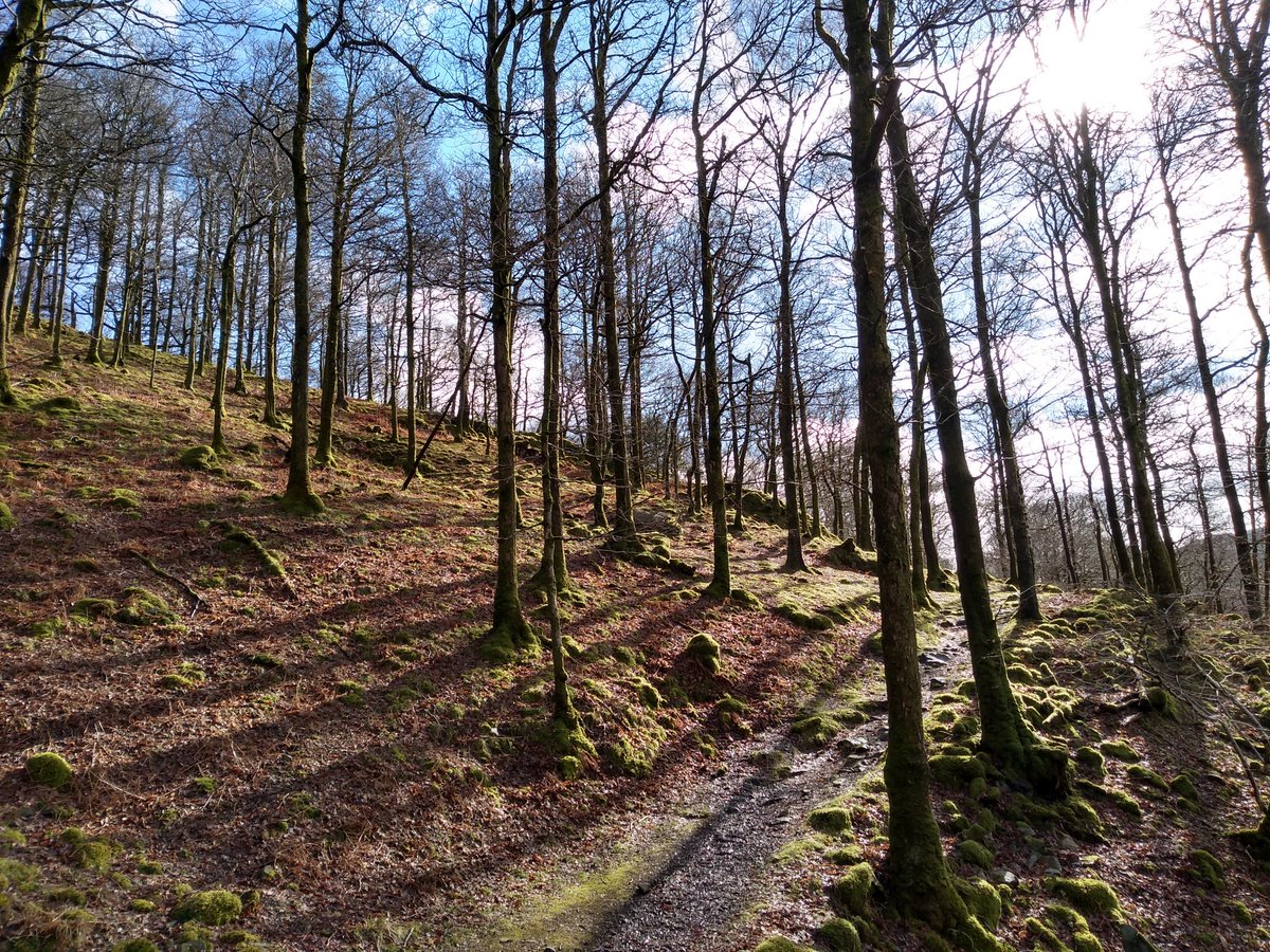 RGSHW Geography tweet media