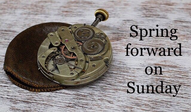 RockStepConsult's tweet photo. #SpringForward this Sunday! #RockStep https://t.co/0OdB0vVvYb