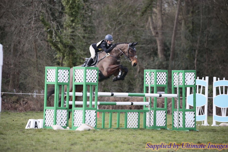 My giant pony flying his way to 1st place at his first event of the season! 🥇🥰 #OpenNovice #PatchAli