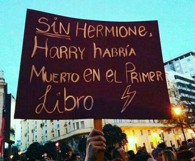 elDiario.es on Twitter: ""Sin Hermione, Harry habría muerto en el primer libro": los memes que salieron a la calle el 8M https://t.co/jQubEzXizK Por @abrelatas… https://t.co/VrCLK6CCPF"