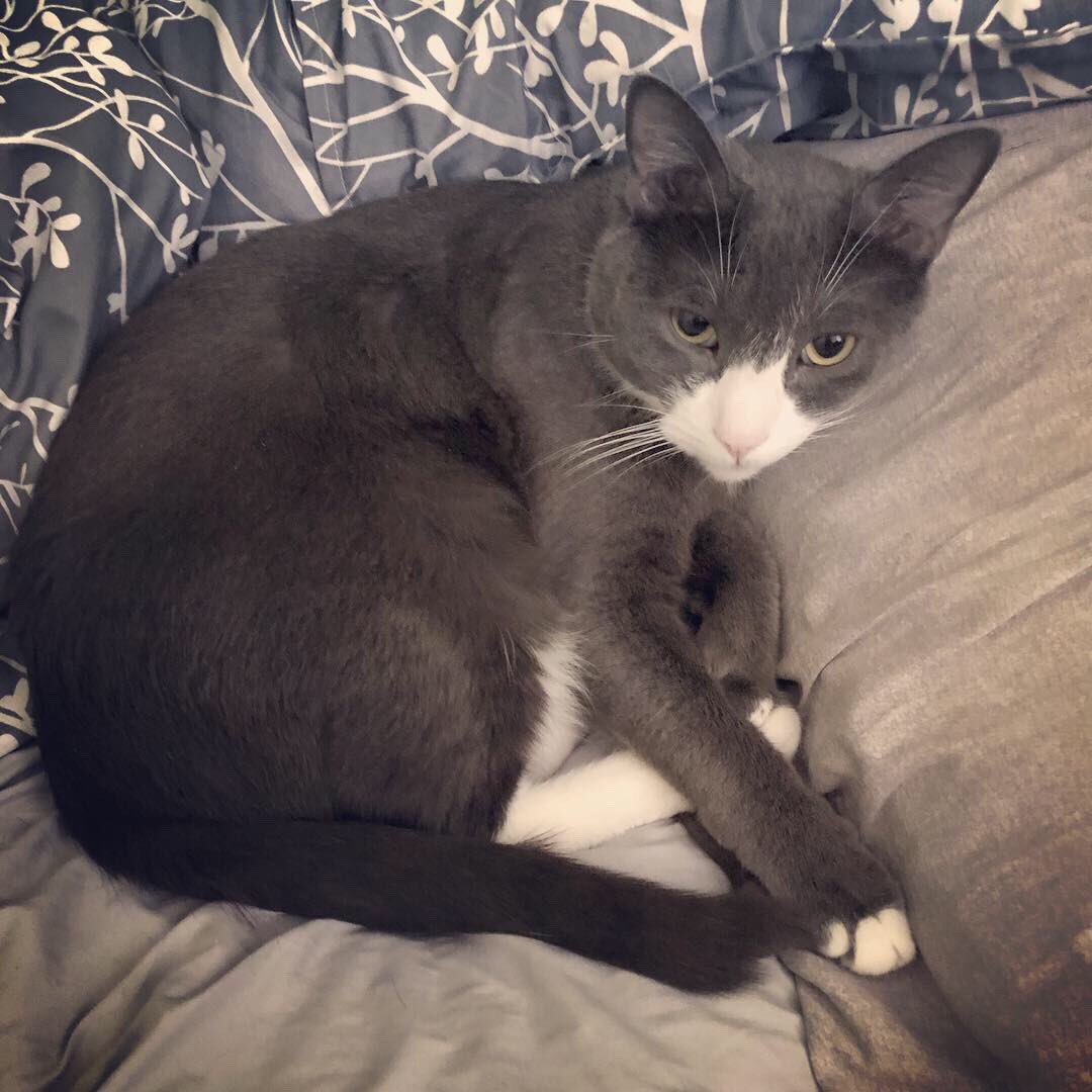 Penny Moore tweet media