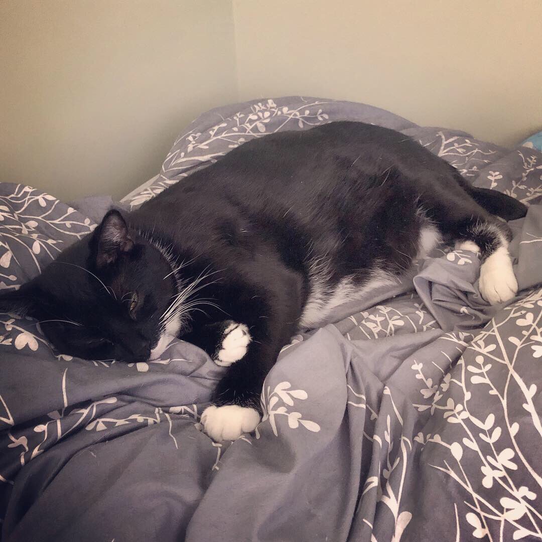 Penny Moore tweet media