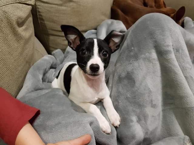 Babsi58089's tweet photo. #Flugpaten gesucht von Cran Canaria nach Berlin https://t.co/ZoVjZdrvHS