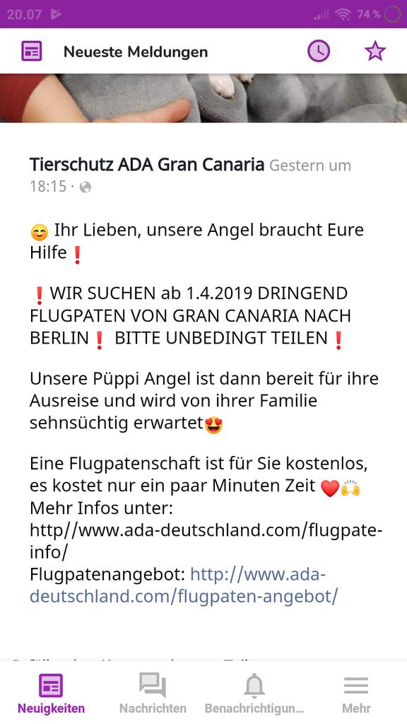 Babsi58089's tweet photo. #Flugpaten gesucht von Cran Canaria nach Berlin https://t.co/ZoVjZdrvHS