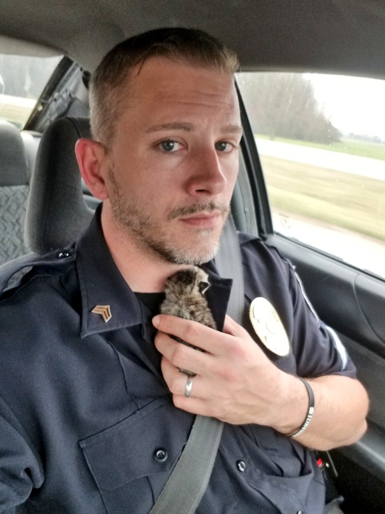 OfficerMorton's tweet photo. If I'm ever late for work it's a possibility of two things.
Either my car has broke down
Or in this case...
I had to crawl under a house to rescue an abandoned week old kitten. https://t.co/z4tTTlgL31