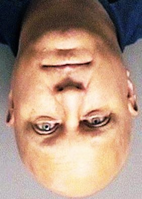 Happy birthday steve wilkos 