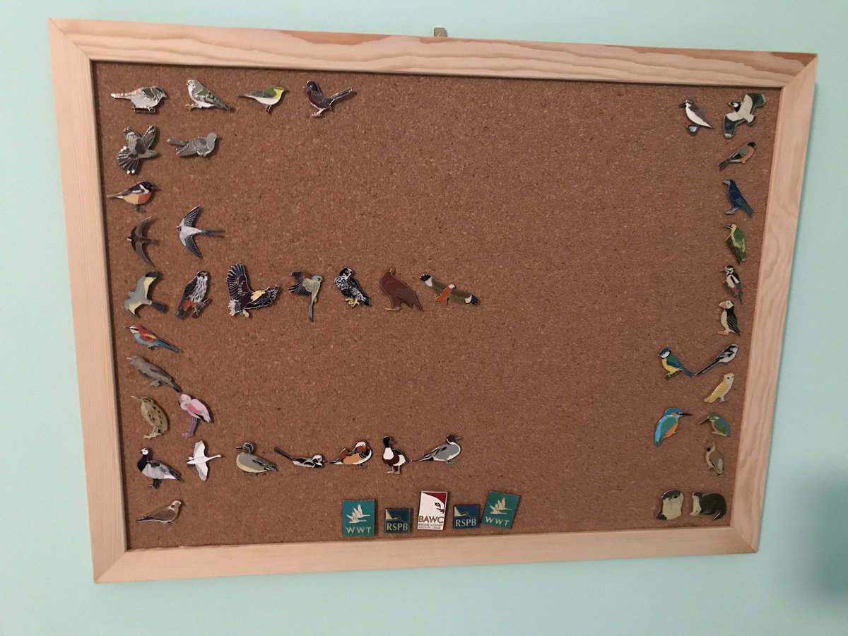 John Hunt tweet media