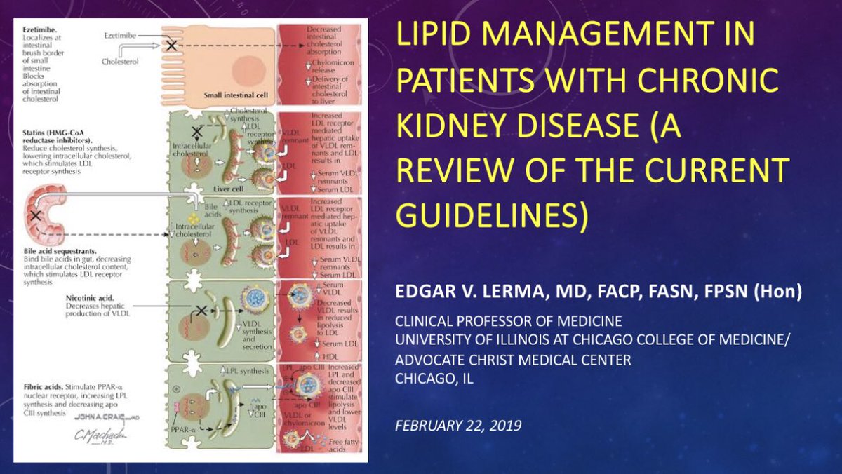 edgarvlermamd's tweet photo. @AJKDonline Landmark Lipid Trials in CKD
#Nephpearls #PSHPLAS π΅π https://t.co/5mh2pLY8l2