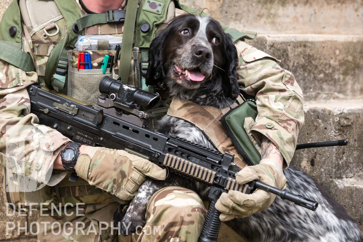 Does anybody know if this beautiful dog has retired yet? @BritishArmy @PawsHero 🐾🐾 #HeroPaws #LifeAfterService #dogsoftwitter #Crufts #Crufts2019 - we took the photo in 2013