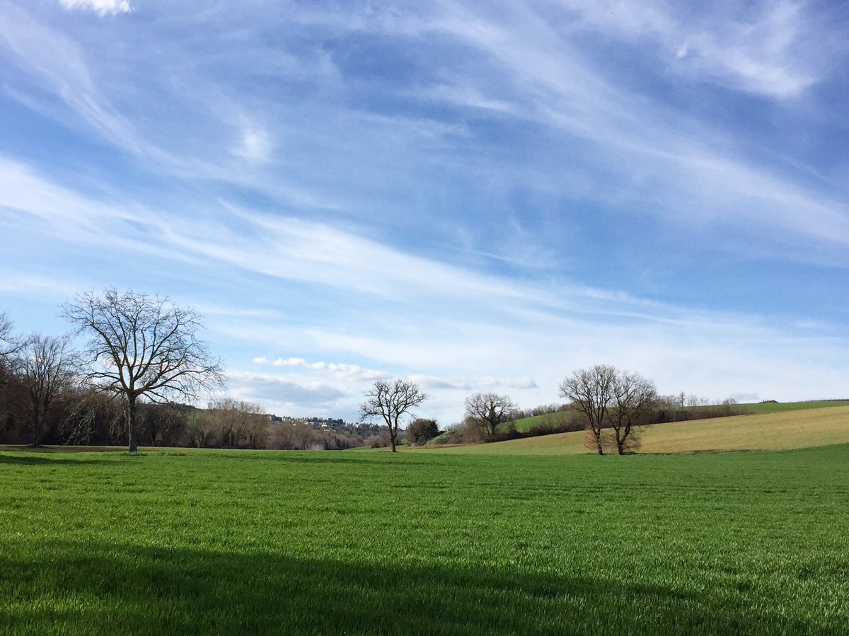 Pennellate di verde smeraldo
e azzurro velato di bianco
per questo angolo di #campagnaumbra.
.
#marsciano #umbria
