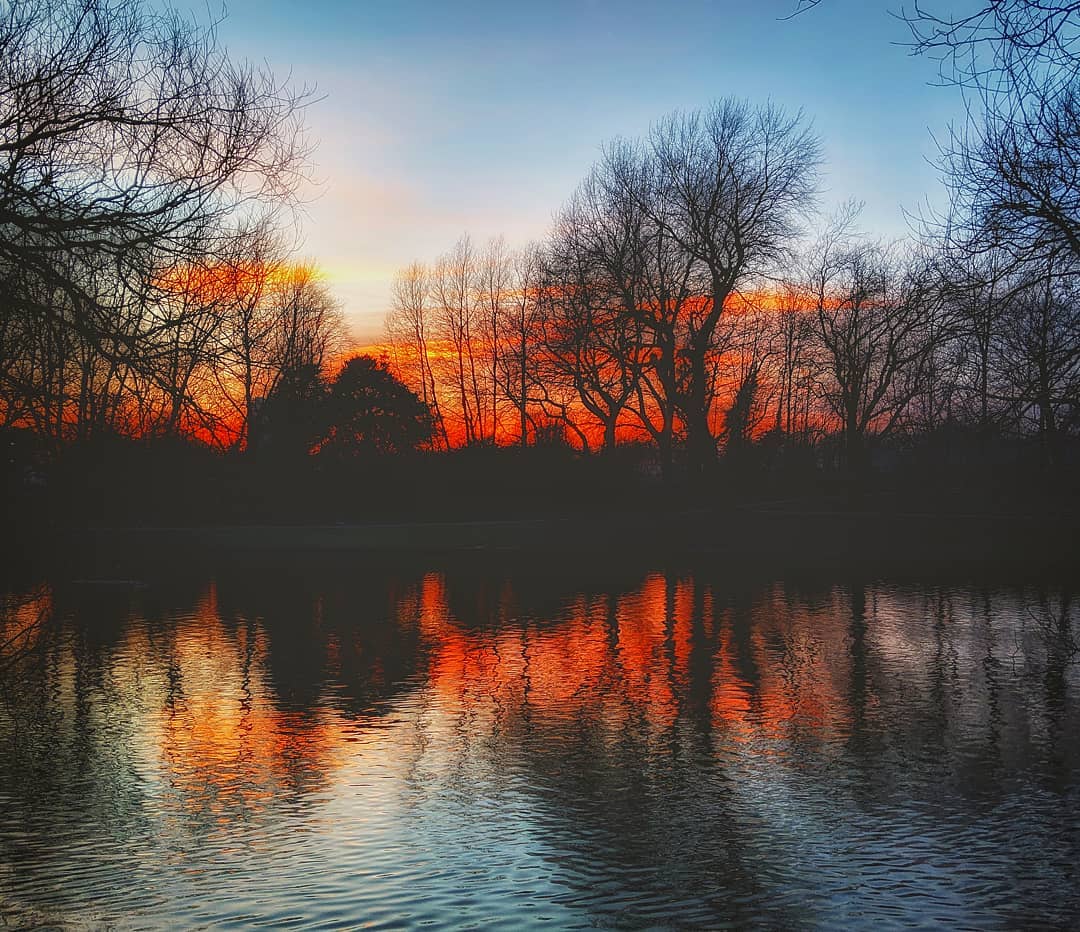 EvaRed14's tweet photo. Location : Sefton Park, Liverpool
Sunset Colors!

#Liverpool #UnitedKingdom #travelblog #vacation #vacay #travel #exploring #travelblogger #TTOT #holiday https://t.co/F0yBSaWv8B