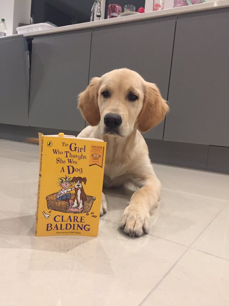 lisasummerfiel3's tweet photo. @clarebalding @Channel4 4 month old Buddy working hard on his reading tonight! My daughters fav book, perfect for crufts! https://t.co/rNtVSk2UdU
