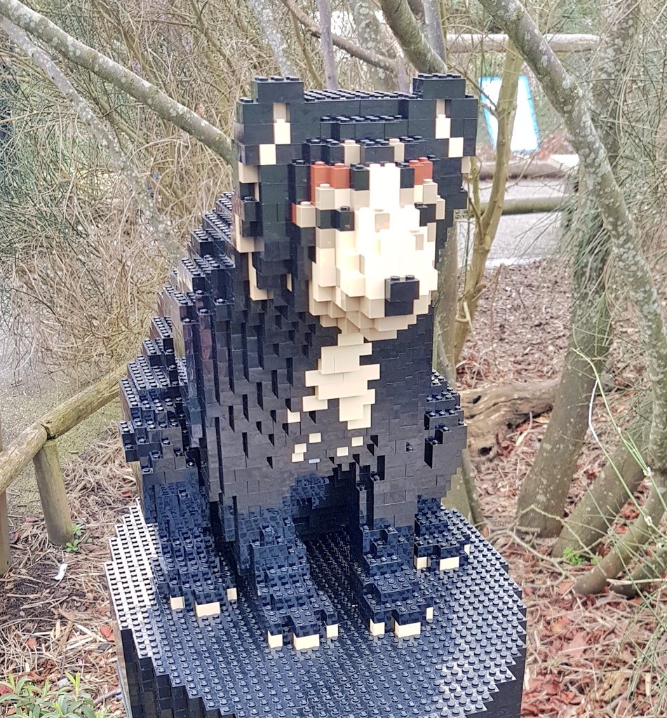 A quick trip to <a href="/chesterzoo/">Chester Zoo</a> today where we discovered the incredible <a href="/lego/">Lego</a> big cat brick trail #ArtTrail! It's on until the end of April so don't miss it! chesterzoo.org/whats-happenin…