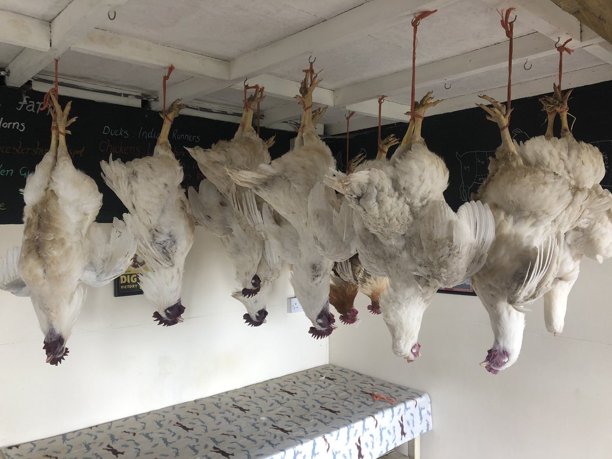 AnotherSmallholder tweet media