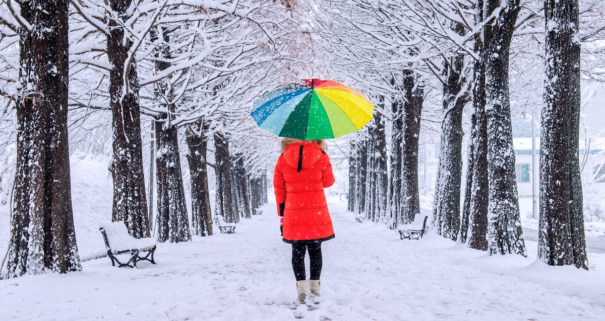 SisterDist_MN's tweet photo. The impending snow storm won't keep us away tomorrow! 2-5pm, @ladonacerveza. There's no better way to spend the last few weeks of winter than a little civic engagement and making connections with awesome folks. https://t.co/UcxmDhgqRM