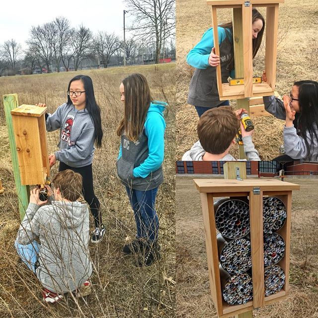 petersonjeffrey's tweet photo. Installed the solitary bee 🐝 homes in the MSN Greenspace.  Many species of bees will be looking for these when day temps are above 50. #NorthPRIDE #E3CG #lookingforspring https://t.co/wTsMWA4x7g https://t.co/iBhdRGbx8J