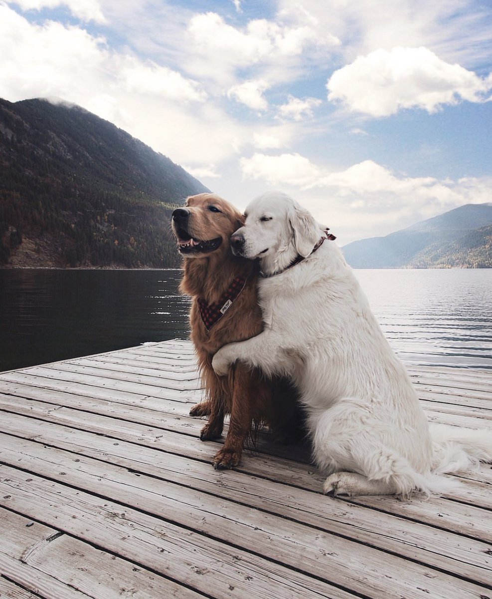 coffee_n_mtns's tweet photo. Relationship goals https://t.co/wpMpHNXY4N