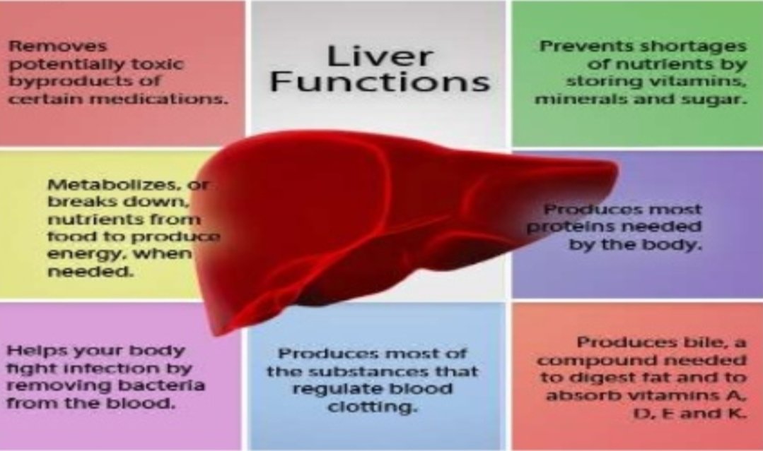 drsorayafelix's tweet photo. IF YOU FEEL TIRED AND SLUGGISH... IF YOUR MEMORY AND VISION ARE NOT AS SHARP AS THEY USED TO BE... YOU CAN'T LOOSE WEIGHT NO MATTER HARD YOU TRY.... THEN THERE IS SOMETHING YOU NEED TO KNOW:
https://t.co/mVtRfYRe3o
0755267001
#naturaltreatment #DRFELIX #Mastercell https://t.co/xqNOOlo5Yx