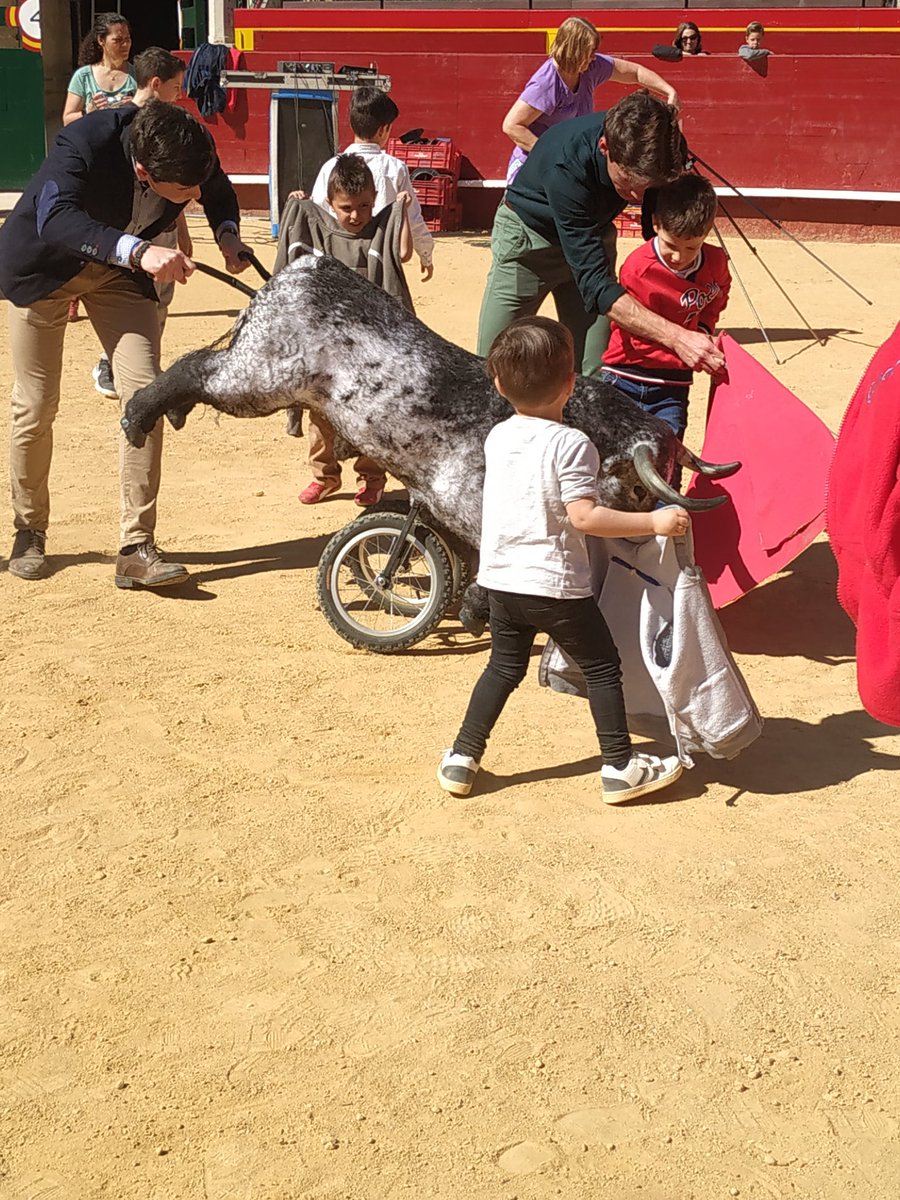 FedTauVal's tweet photo. Gran mañana la que hemos pasado hoy con la jornada de pjertas abiertas en la #plazatorosvalencia con talleres, carretones, castillos hinchables.. los mas jóvenes han disfrutado mucho, gracias a todos los que han hecho posible que el acto fuera tan exitoso!
#sialosniñosenlostoros https://t.co/4cqGlcjJYN